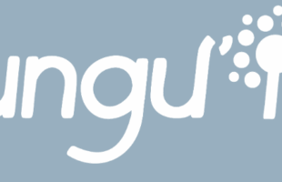 Fungu'it